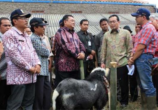 Kunjungan Kerja Menteri Pertanian Ke Kabupaten Garut Jawa Barat